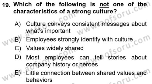 Business Management Dersi 2024 - 2025 Yılı (Vize) Ara Sınav Soruları 19. Soru