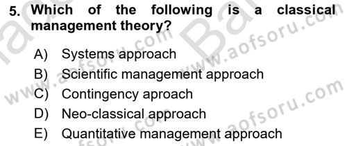 Business Management Dersi 2024 - 2025 Yılı (Vize) Ara Sınav Soruları 5. Soru