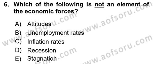 Business Management Dersi 2024 - 2025 Yılı (Vize) Ara Sınav Soruları 6. Soru
