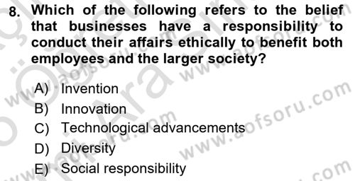 Business Management Dersi 2024 - 2025 Yılı (Vize) Ara Sınav Soruları 8. Soru