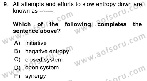 Business Management Dersi 2024 - 2025 Yılı (Vize) Ara Sınav Soruları 9. Soru