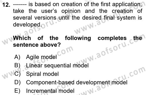 Business Information Systems Dersi 2018 - 2019 Yılı (Vize) Ara Sınav Soruları 12. Soru