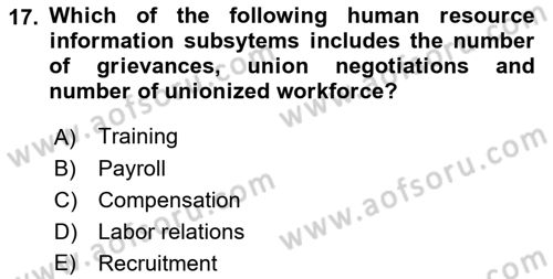 Business Information Systems Dersi 2018 - 2019 Yılı (Vize) Ara Sınav Soruları 17. Soru