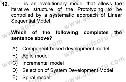 Business Information Systems Dersi 2021 - 2022 Yılı (Vize) Ara Sınav Soruları 12. Soru