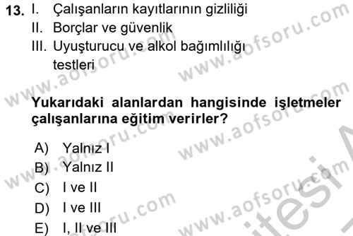 İşletmelerde Sosyal Sorumluluk Ve Etik Dersi 2016 - 2017 Yılı 3 Ders Sınavı 13. Soru