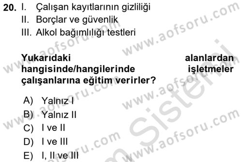 İşletmelerde Sosyal Sorumluluk Ve Etik Dersi 2022 - 2023 Yılı (Final) Dönem Sonu Sınav Soruları 20. Soru