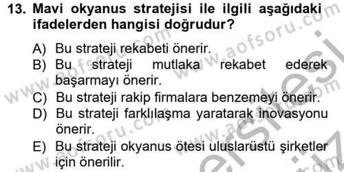 Girişimcilik ve İş Kurma Dersi 2012 - 2013 Yılı (Vize) Ara Sınav Soruları 13. Soru