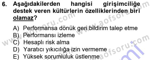 Girişimcilik ve İş Kurma Dersi 2012 - 2013 Yılı (Final) Dönem Sonu Sınav Soruları 6. Soru