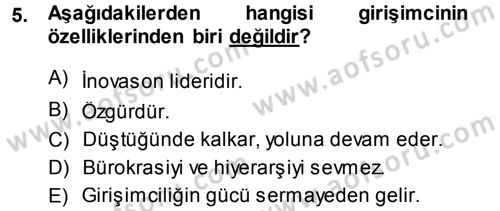 Girişimcilik ve İş Kurma Dersi 2013 - 2014 Yılı (Vize) Ara Sınav Soruları 5. Soru