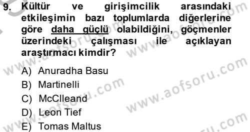 Girişimcilik ve İş Kurma Dersi 2014 - 2015 Yılı (Final) Dönem Sonu Sınav Soruları 9. Soru