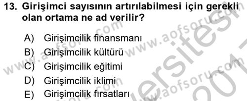 Girişimcilik ve İş Kurma Dersi 2016 - 2017 Yılı 3 Ders Sınav Soruları 13. Soru