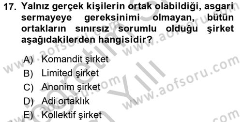 Girişimcilik ve İş Kurma Dersi 2018 - 2019 Yılı Yaz Okulu Sınav Soruları 17. Soru