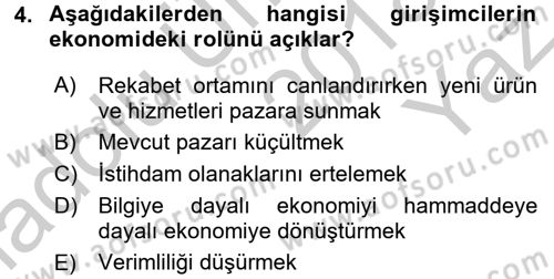Girişimcilik ve İş Kurma Dersi 2018 - 2019 Yılı Yaz Okulu Sınav Soruları 4. Soru