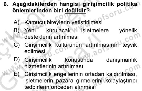 Girişimcilik ve İş Kurma Dersi 2019 - 2020 Yılı (Final) Dönem Sonu Sınav Soruları 6. Soru