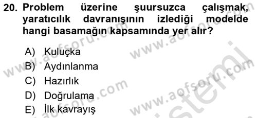 Girişimcilik ve İş Kurma Dersi 2023 - 2024 Yılı (Vize) Ara Sınavı 20. Soru