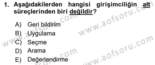 Girişimcilik ve İş Kurma Dersi 2023 - 2024 Yılı Yaz Okulu Sınavı 1. Soru