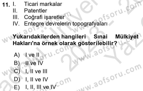 Girişimcilik ve İş Kurma Dersi 2023 - 2024 Yılı Yaz Okulu Sınavı 11. Soru