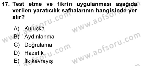 Girişimcilik ve İş Kurma Dersi Ara Sınavı Deneme Sınav Soruları 17. Soru