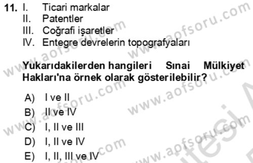 Girişimcilik ve İş Kurma Dersi 2024 - 2025 Yılı Yaz Okulu Sınav Soruları 11. Soru
