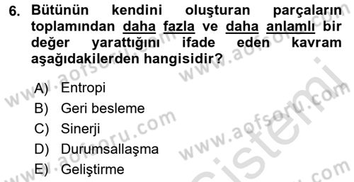 İşletme Yönetimi Dersi 2022 - 2023 Yılı Yaz Okulu Sınav Soruları 6. Soru