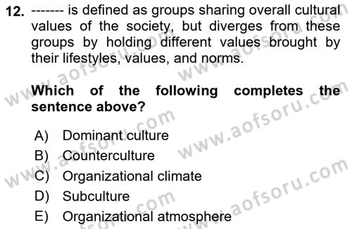 Organization Theory and Design Dersi 2020 - 2021 Yılı Yaz Okulu Sınav Soruları 12. Soru