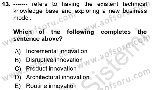 Organization Theory and Design Dersi 2020 - 2021 Yılı Yaz Okulu Sınav Soruları 13. Soru