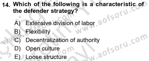 Organization Theory and Design Dersi 2020 - 2021 Yılı Yaz Okulu Sınav Soruları 14. Soru