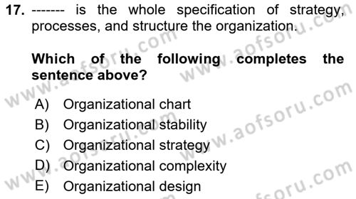 Organization Theory and Design Dersi 2020 - 2021 Yılı Yaz Okulu Sınav Soruları 17. Soru