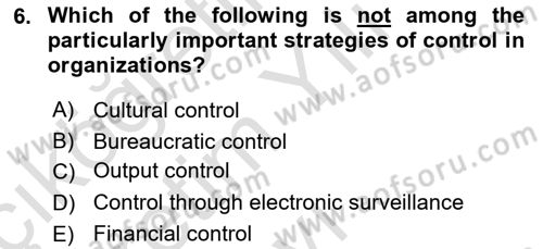 Organization Theory and Design Dersi 2020 - 2021 Yılı Yaz Okulu Sınav Soruları 6. Soru