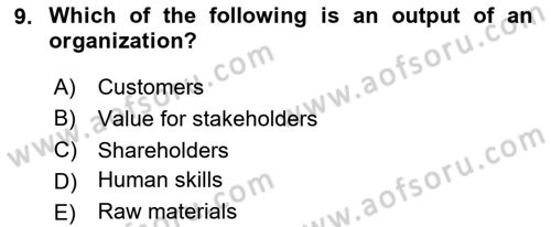 Organization Theory and Design Dersi 2020 - 2021 Yılı Yaz Okulu Sınav Soruları 9. Soru