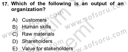 Organization Theory and Design Dersi 2021 - 2022 Yılı (Vize) Ara Sınav Soruları 17. Soru