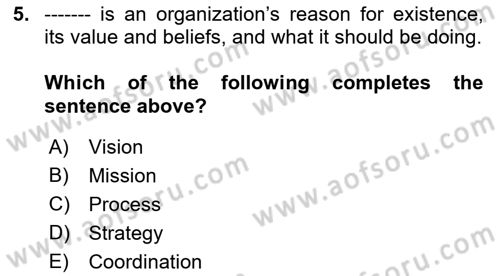 Organization Theory and Design Dersi 2021 - 2022 Yılı (Vize) Ara Sınav Soruları 5. Soru