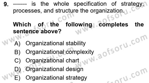 Organization Theory and Design Dersi 2021 - 2022 Yılı (Vize) Ara Sınav Soruları 9. Soru