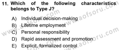 Organization Theory and Design Dersi 2021 - 2022 Yılı (Final) Dönem Sonu Sınav Soruları 11. Soru
