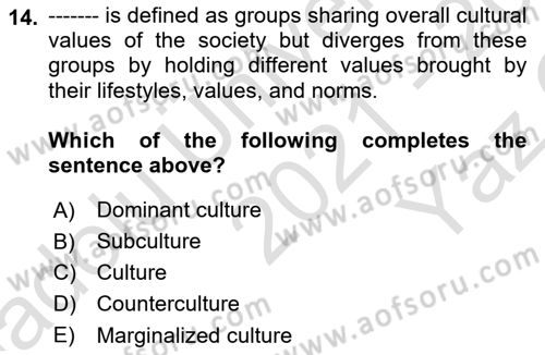Organization Theory and Design Dersi 2021 - 2022 Yılı Yaz Okulu Sınav Soruları 14. Soru