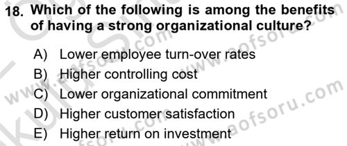 Organization Theory and Design Dersi 2021 - 2022 Yılı Yaz Okulu Sınav Soruları 18. Soru