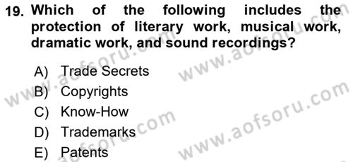 Organization Theory and Design Dersi 2021 - 2022 Yılı Yaz Okulu Sınav Soruları 19. Soru