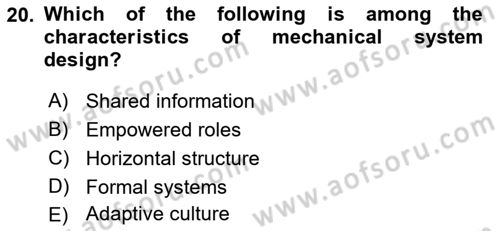 Organization Theory and Design Dersi 2021 - 2022 Yılı Yaz Okulu Sınav Soruları 20. Soru