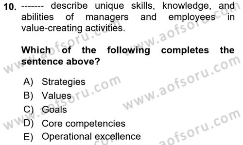 Organization Theory and Design Dersi 2022 - 2023 Yılı (Vize) Ara Sınav Soruları 10. Soru