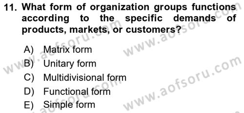 Organization Theory and Design Dersi 2022 - 2023 Yılı (Vize) Ara Sınav Soruları 11. Soru