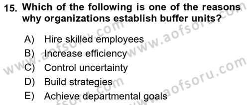 Organization Theory and Design Dersi 2022 - 2023 Yılı (Vize) Ara Sınav Soruları 15. Soru