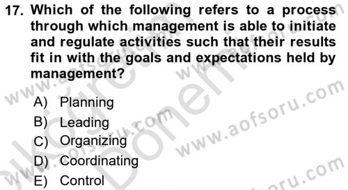 Organization Theory and Design Dersi 2022 - 2023 Yılı (Vize) Ara Sınav Soruları 17. Soru