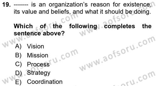 Organization Theory and Design Dersi 2022 - 2023 Yılı (Vize) Ara Sınav Soruları 19. Soru