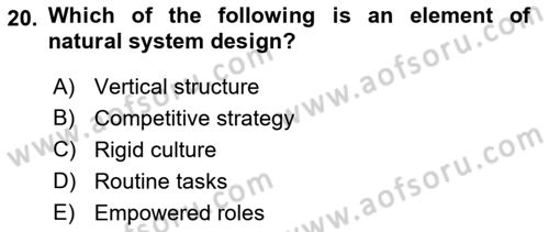 Organization Theory and Design Dersi 2022 - 2023 Yılı (Vize) Ara Sınav Soruları 20. Soru