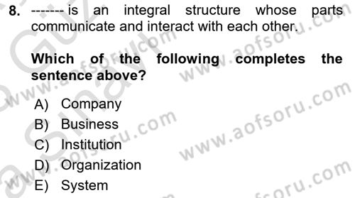 Organization Theory and Design Dersi 2022 - 2023 Yılı (Vize) Ara Sınav Soruları 8. Soru
