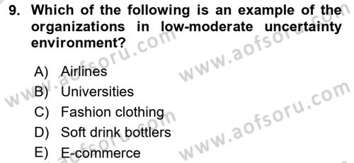 Organization Theory and Design Dersi 2022 - 2023 Yılı (Vize) Ara Sınav Soruları 9. Soru