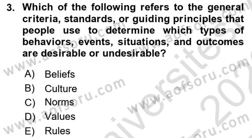 Organization Theory and Design Dersi 2022 - 2023 Yılı (Final) Dönem Sonu Sınav Soruları 3. Soru