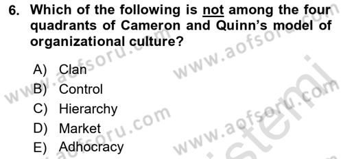Organization Theory and Design Dersi 2022 - 2023 Yılı (Final) Dönem Sonu Sınav Soruları 6. Soru