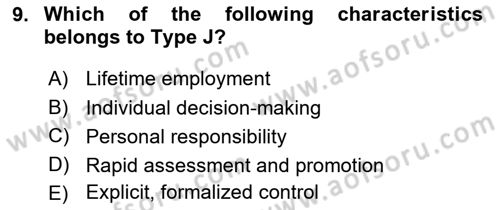 Organization Theory and Design Dersi 2022 - 2023 Yılı (Final) Dönem Sonu Sınav Soruları 9. Soru