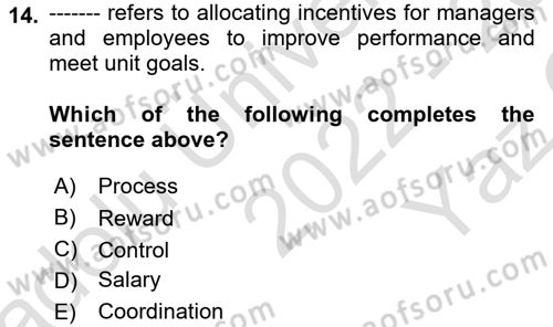 Organization Theory and Design Dersi 2022 - 2023 Yılı Yaz Okulu Sınav Soruları 14. Soru